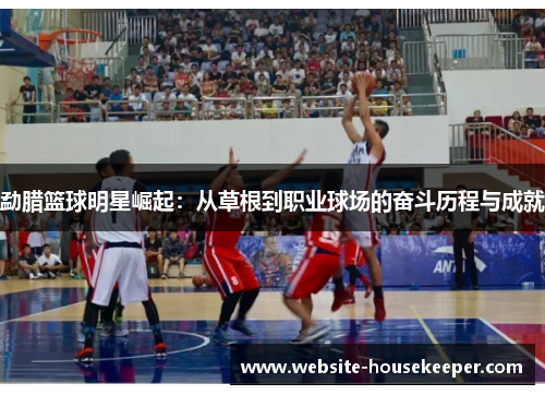 勐腊篮球明星崛起：从草根到职业球场的奋斗历程与成就