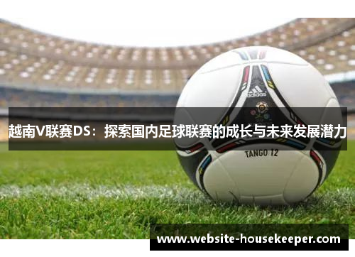 越南V联赛DS：探索国内足球联赛的成长与未来发展潜力